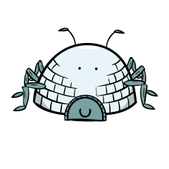 Insect Igloo